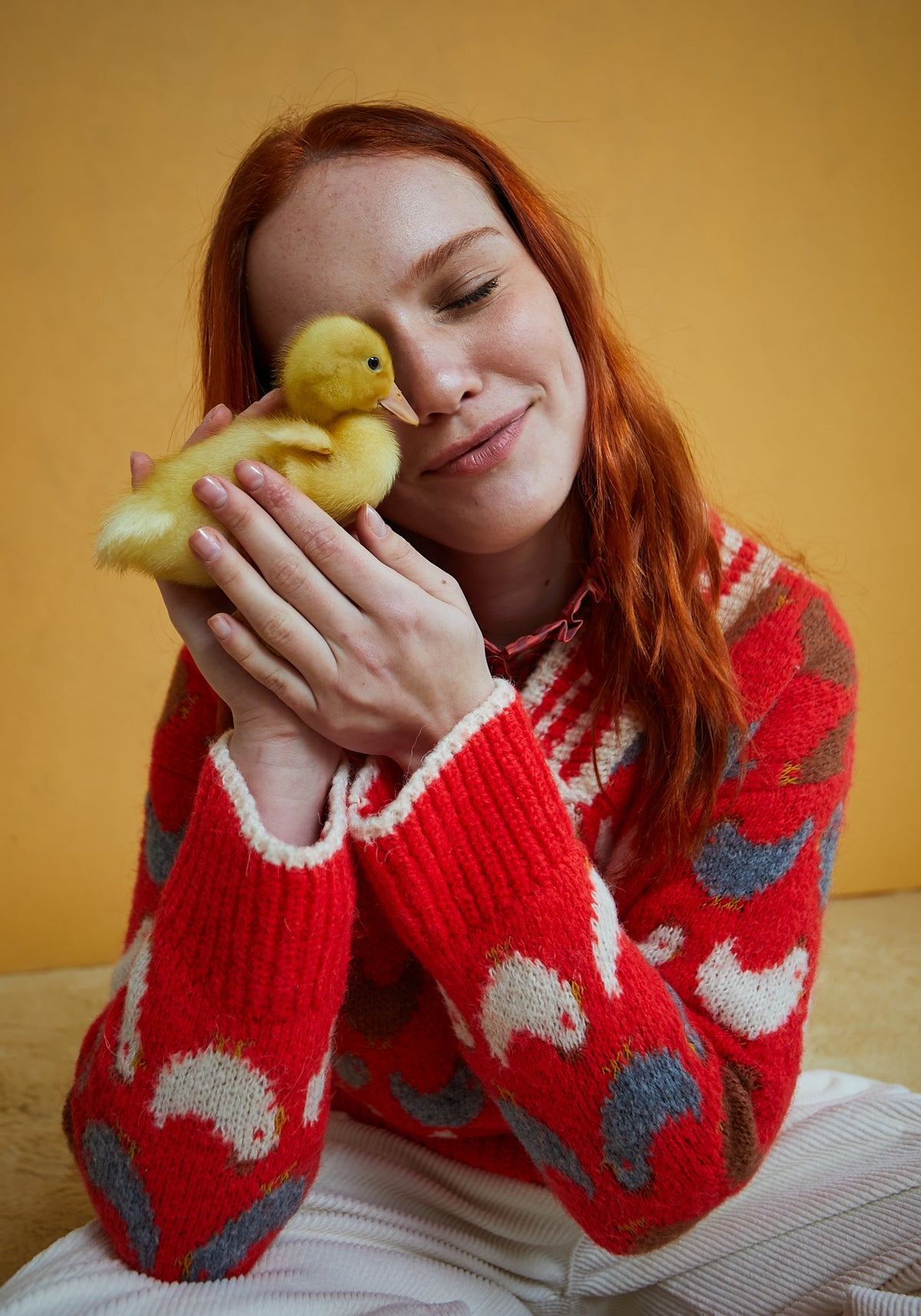 Maglione Chirp Rosso