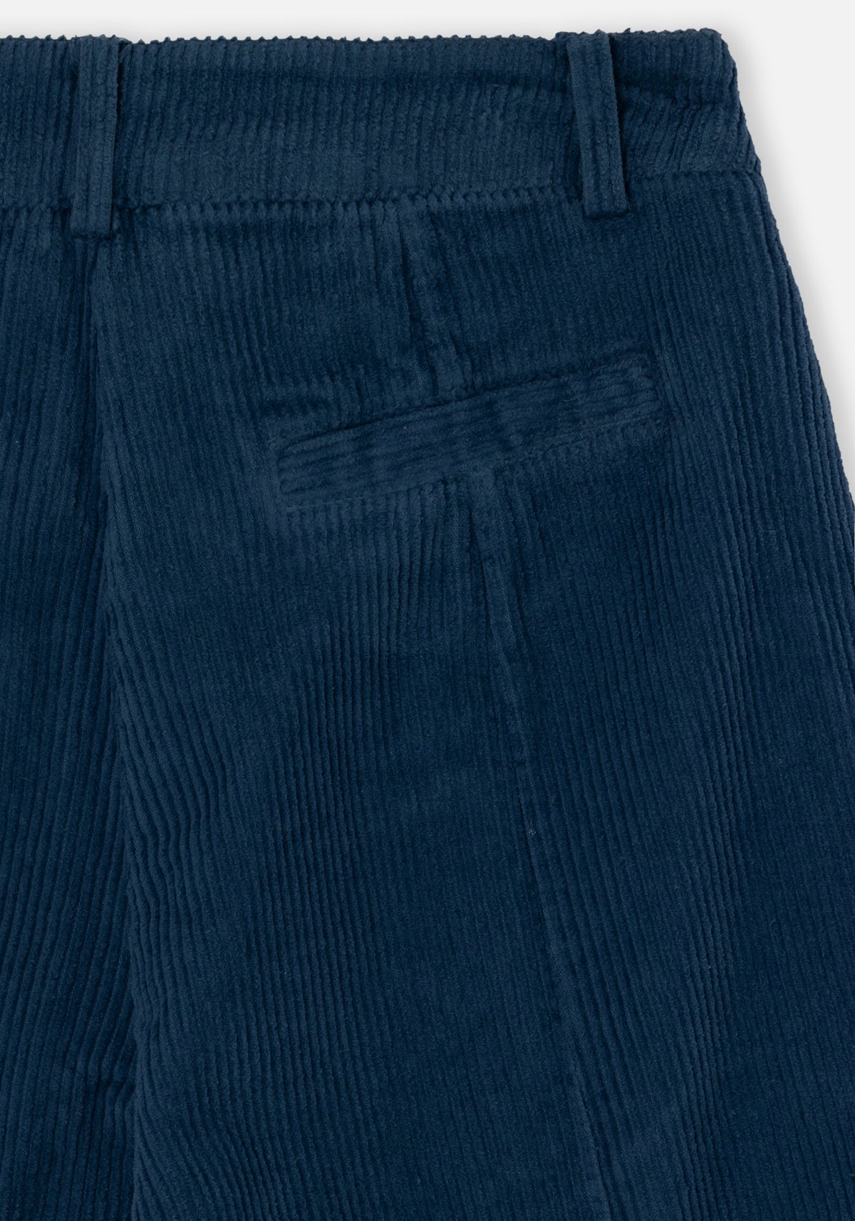 Pantaloni Dado in velluto blu navy